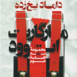 داماد یخ زده