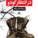 در انتظار گودو