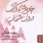 جاده ای باریک در دل شمال