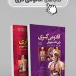 آناتومی گری